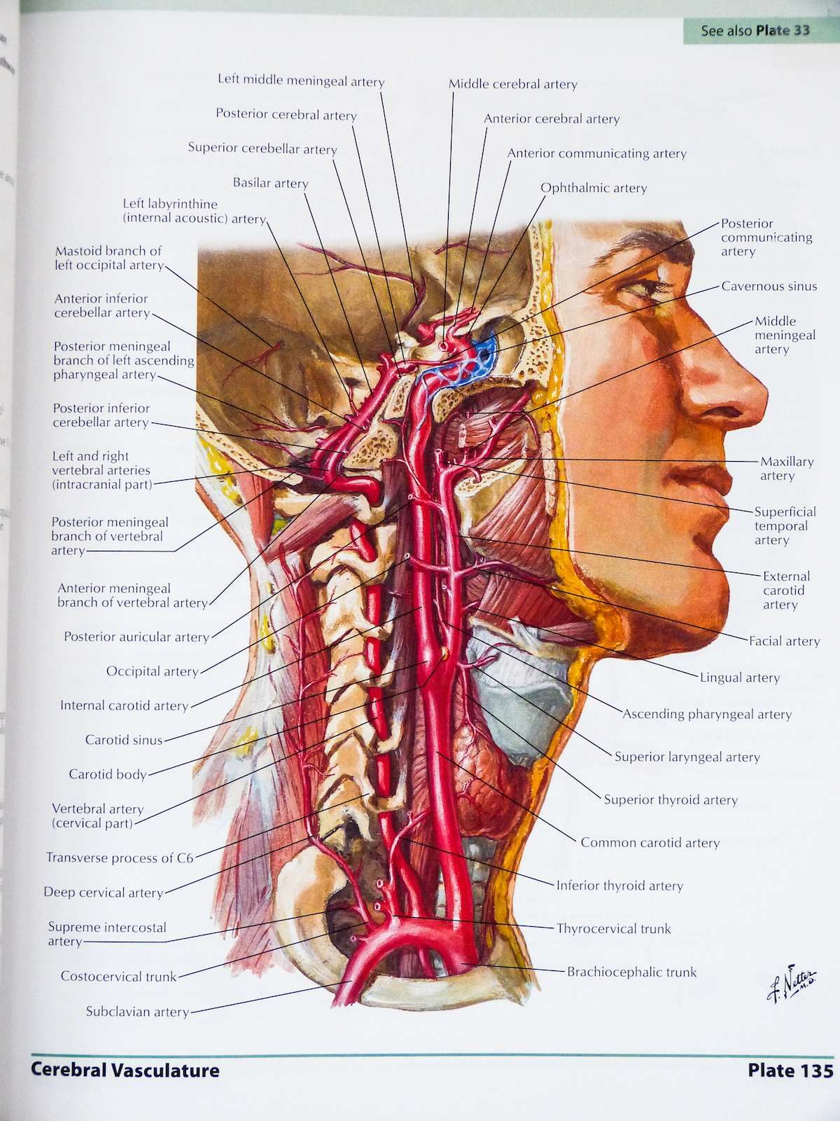 Netter Interactive Atlas Of Human Anatomy Crack 1